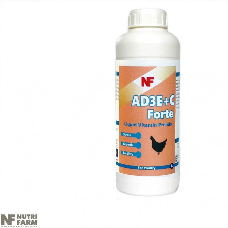 AD3E+C Forte Liquid feed supplement for Poultry